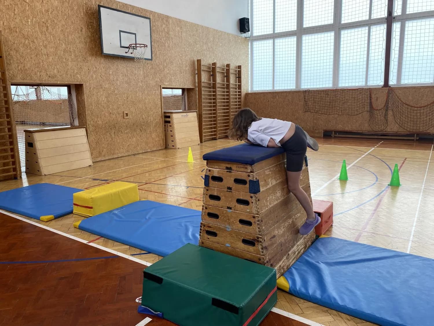 Tělesná výchova - KROKODÝLÍ TĚLOCVIK - vhodné před návštěvou ZOO – náhled 5