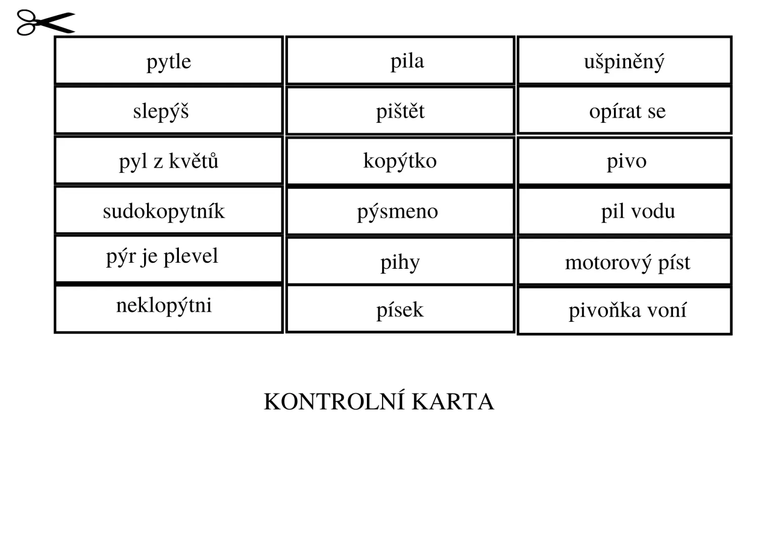 VYJMENOVANÁ SLOVA - P - HRA DO TŘÍDY - PÍSMENKOVÁ STŘELNICE - 4. sada – náhled 4