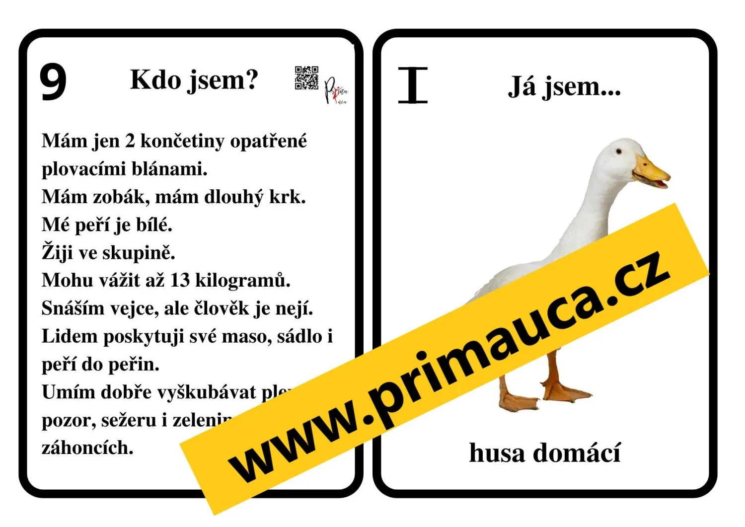 UČÍME SE ČÍST, POZNÁVAT A POPISOVAT DOMÁCÍ ZVÍŘATA - skupinové činnosti mimo lav – náhled 3