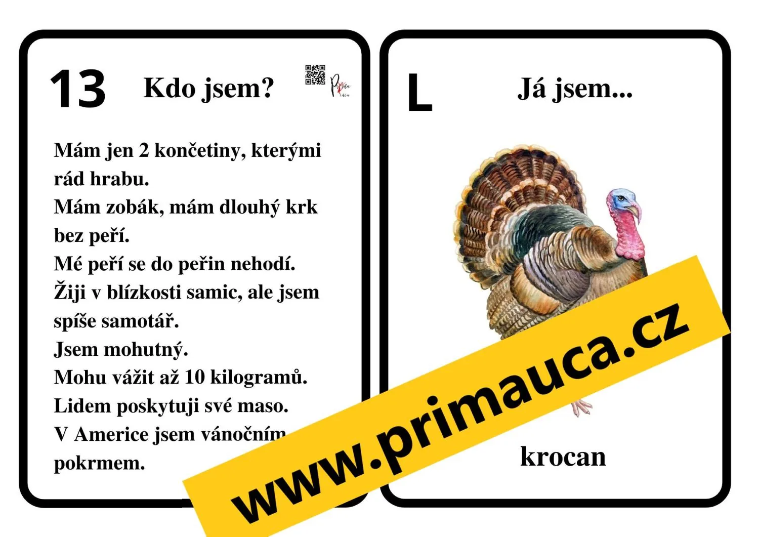 UČÍME SE ČÍST, POZNÁVAT A POPISOVAT DOMÁCÍ ZVÍŘATA - skupinové činnosti mimo lav – náhled 6