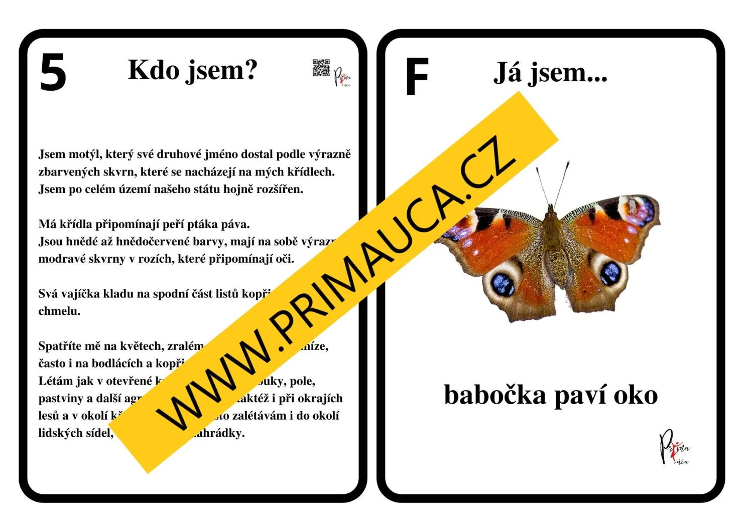 UČÍME SE POZNÁVAT  HMYZ - hra na hmyzí detektivy - aktivita mimo lavice – náhled 6