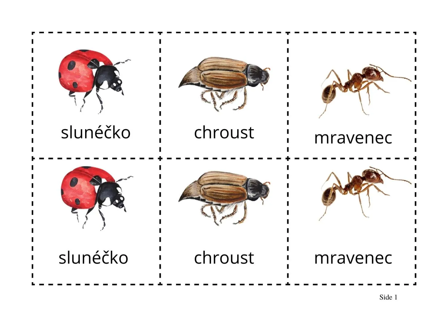 UČÍME SE POZNÁVAT  HMYZ - hra na hmyzí detektivy - aktivita mimo lavice – náhled 8