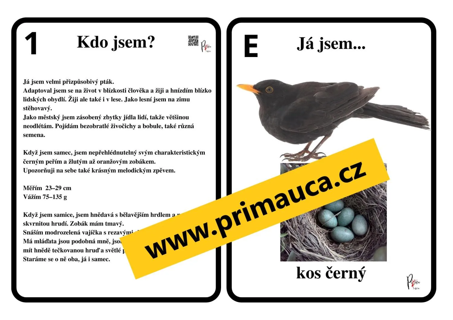 UČÍME SE POZNÁVAT  NAŠE PTÁKY - aktivita mimo lavice - hra na zvířecí detektivy – náhled 3