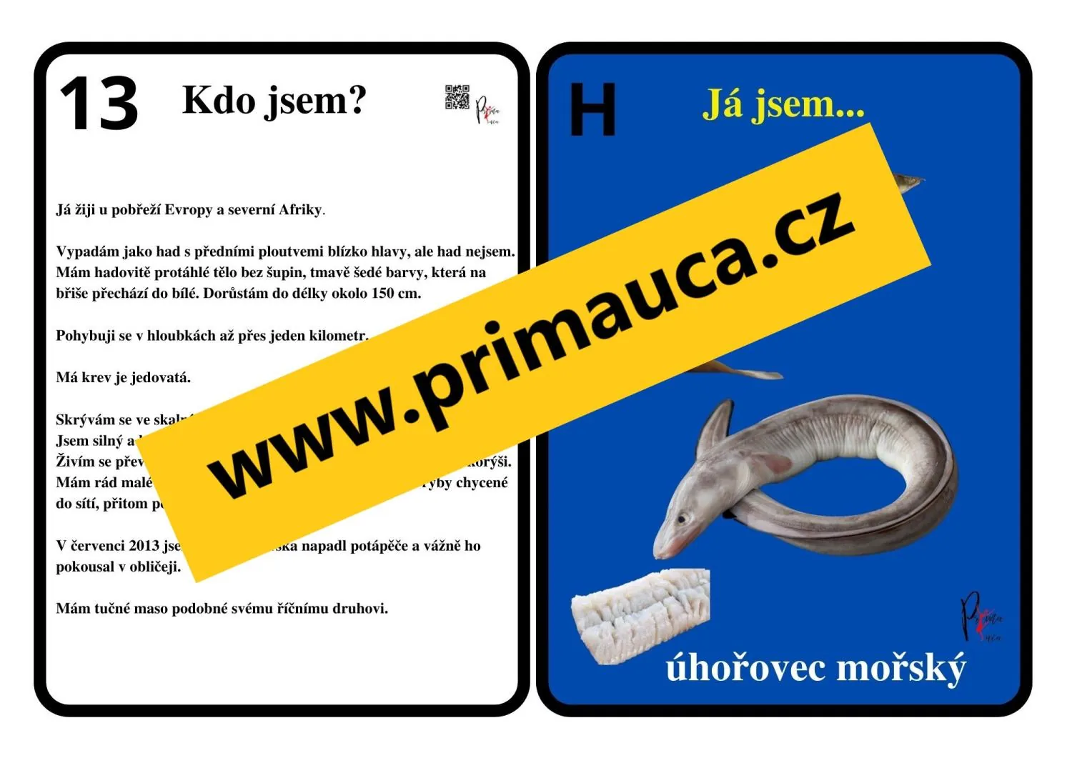 UČÍME SE POZNÁVAT  MOŘSKÉ RYBY A PARYBY - aktivita mimo lavice, skupinková práce – náhled 3