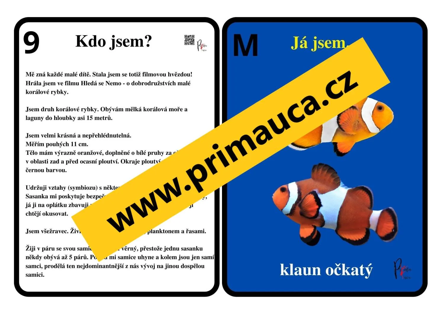 UČÍME SE POZNÁVAT  MOŘSKÉ RYBY A PARYBY - aktivita mimo lavice, skupinková práce – náhled 5