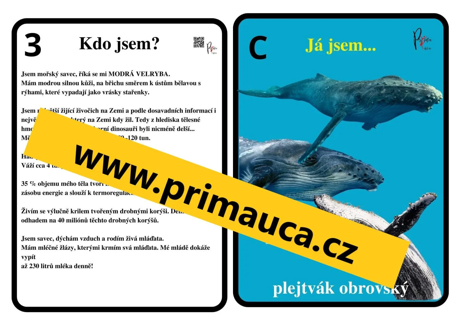 UČÍME SE POZNÁVAT MOŘSKÉ SAVCE - skupinková práce, komunitní kruh – náhled 2