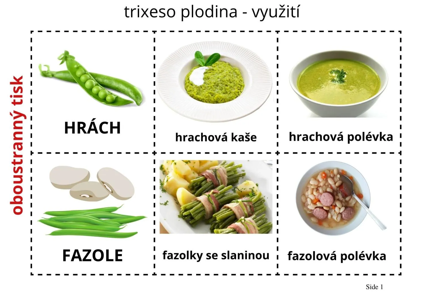 VYSÉVÁME POZORUJEME SÁZÍME - POZOROVÁNÍ - příprava do hodin – náhled 5