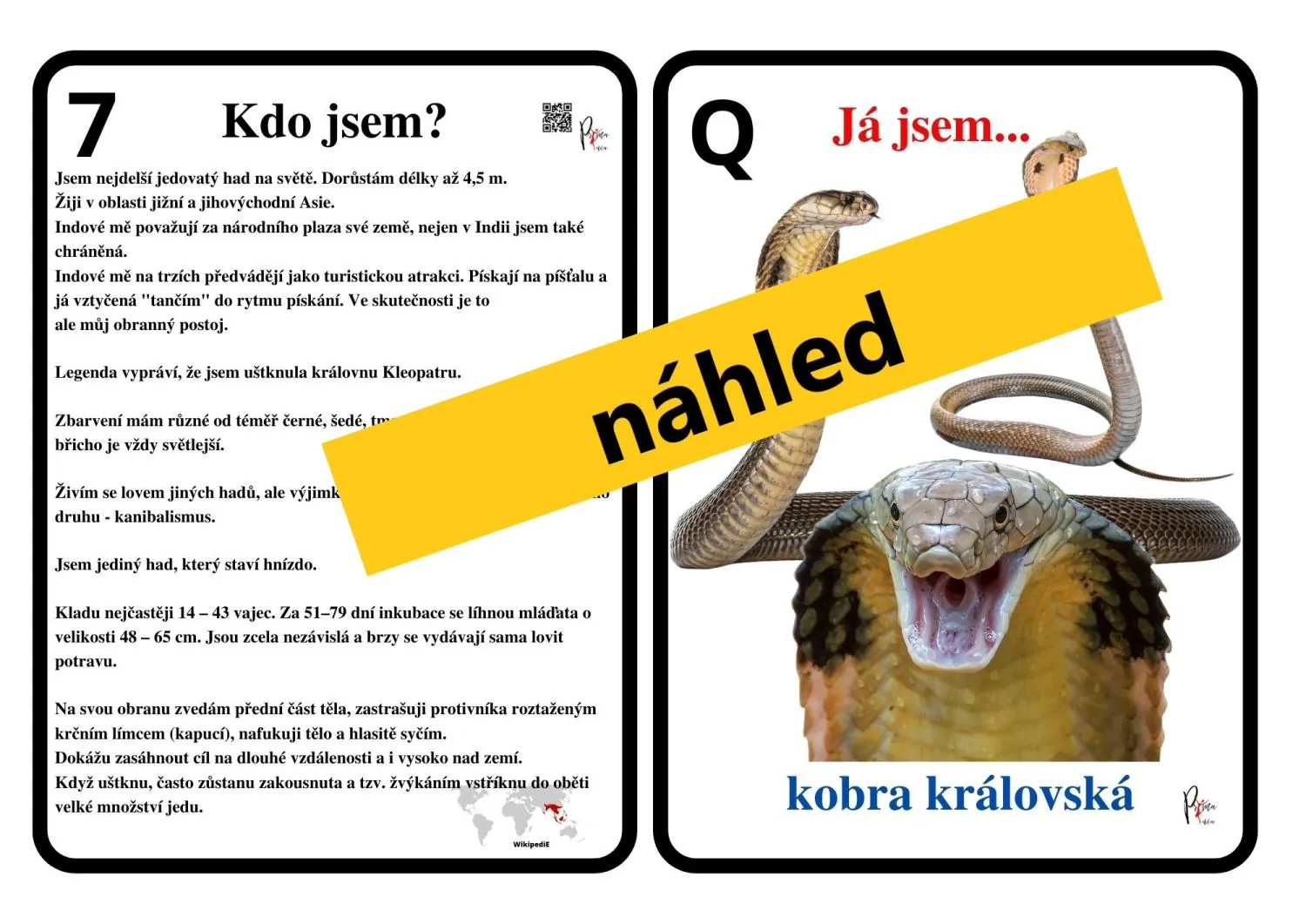 UČÍME SE POZNÁVAT  NEJZNÁMĚJŠÍ HADY - další sada k aktivitě mimo lavice – náhled 3