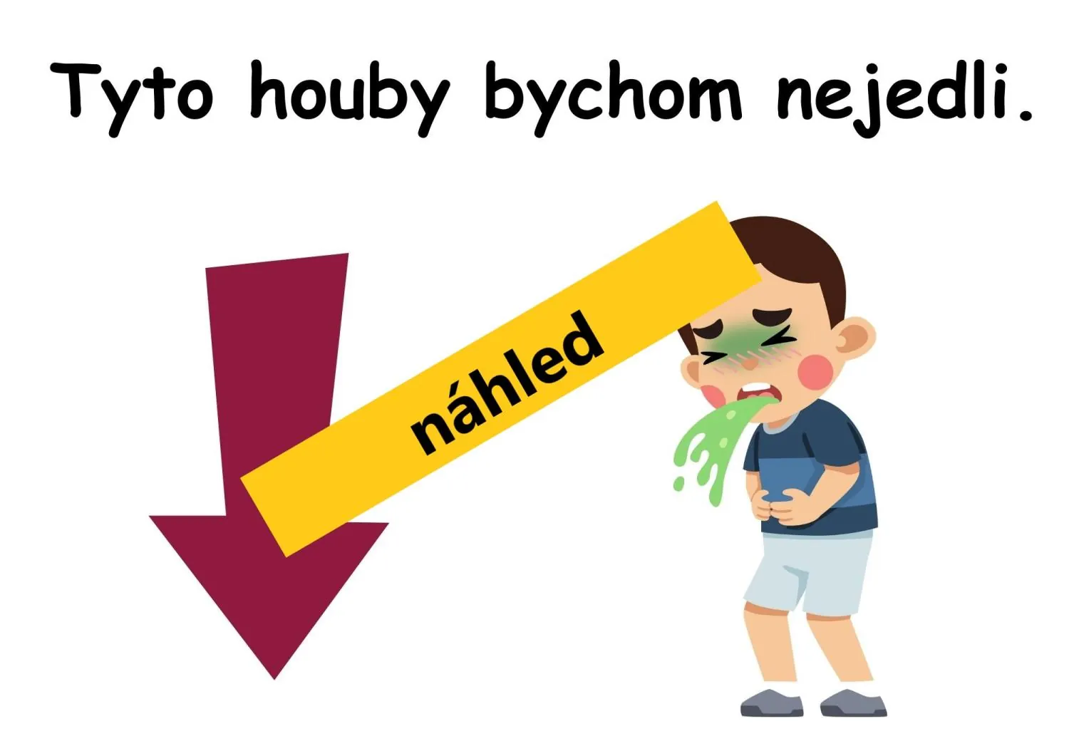 Matematické sčítací pyramidy  do 20 + učíme se poznat HOUBY – náhled 7