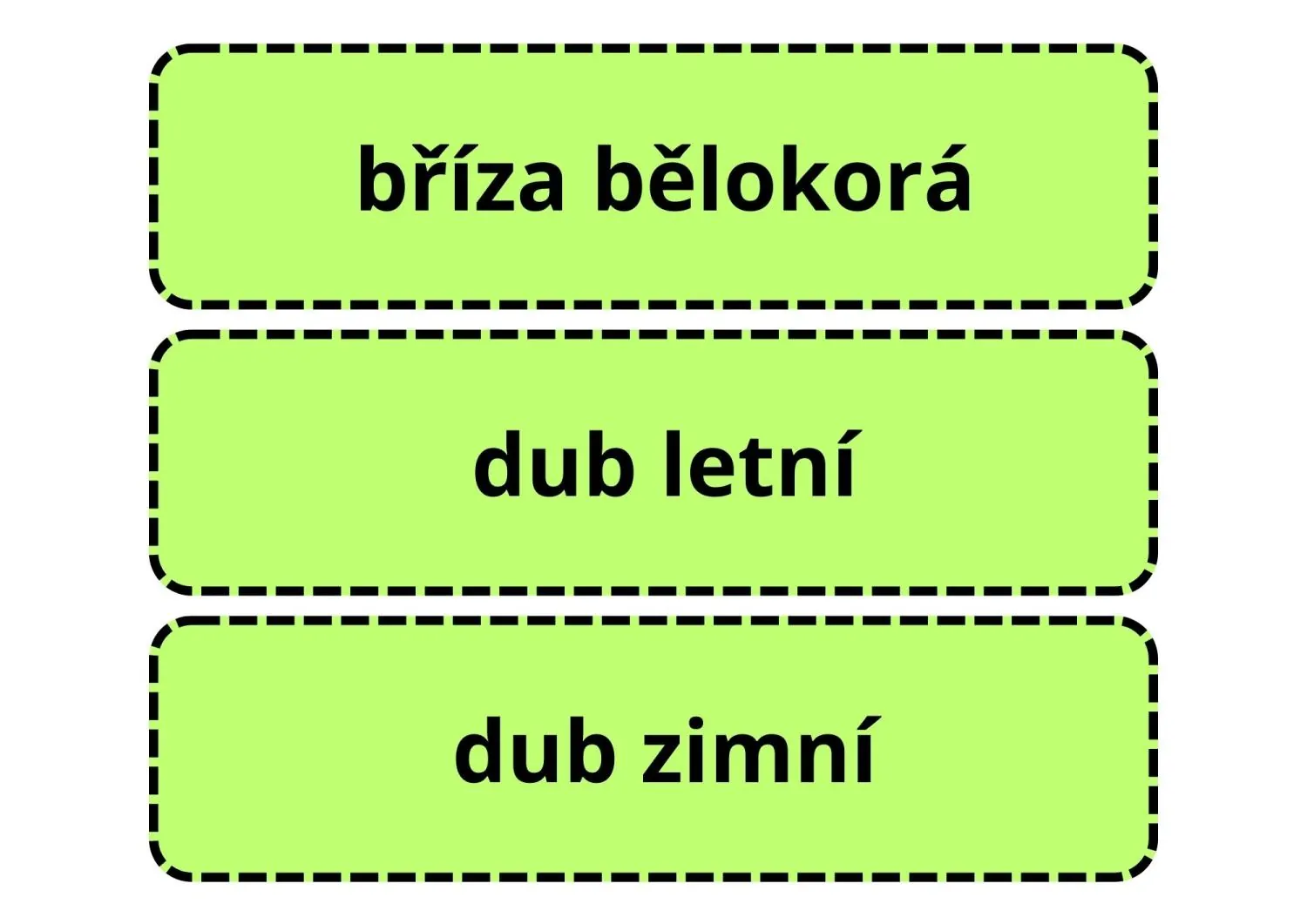 UČÍME SE POZNÁVAT  NEJZNÁMĚJŠÍ LISTNATÉ STROMY LESA A MĚST, VŠÍMÁME SI DETAILŮ – náhled 4