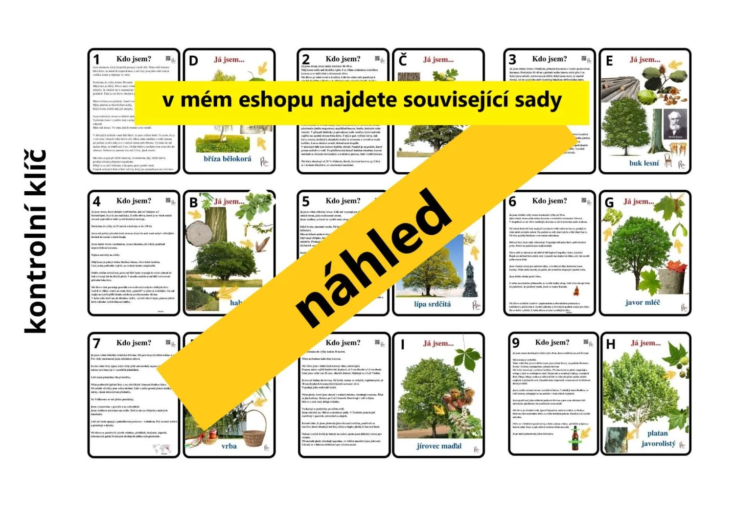 UČÍME SE POZNÁVAT  NEJZNÁMĚJŠÍ LISTNATÉ STROMY LESA A MĚST, VŠÍMÁME SI DETAILŮ – náhled 5