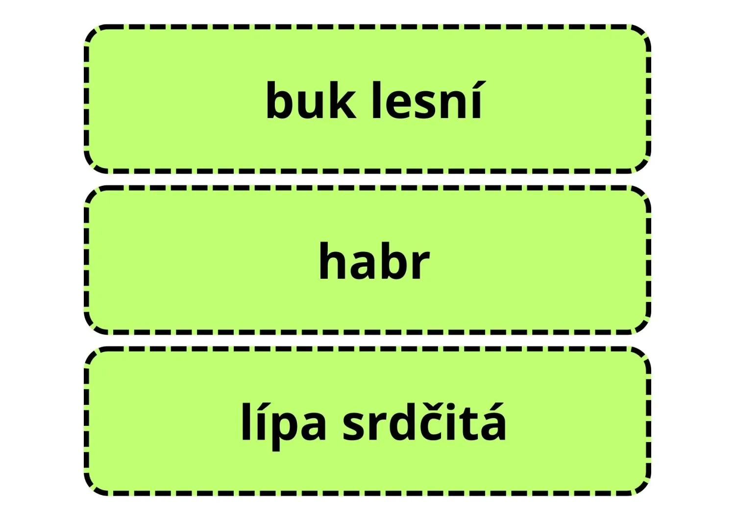 UČÍME SE POZNÁVAT  NEJZNÁMĚJŠÍ LISTNATÉ STROMY LESA A MĚST, VŠÍMÁME SI DETAILŮ – náhled 7