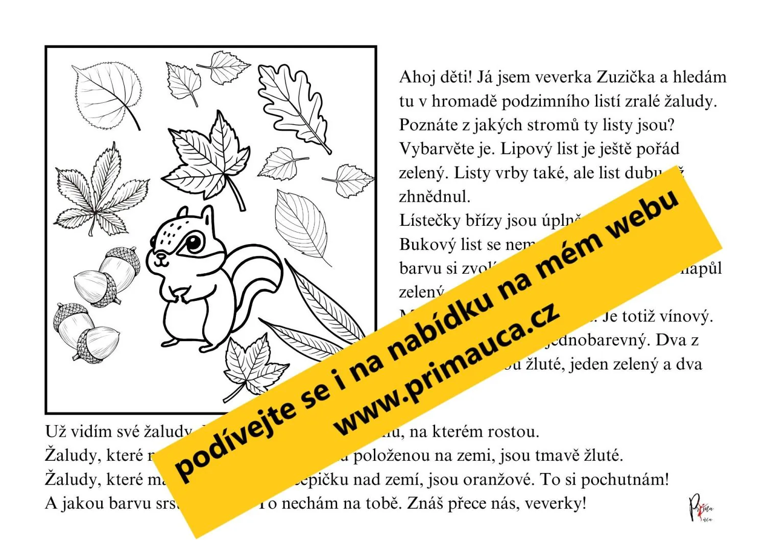 PODZIMNÍ ČTENÍ S POROZUMĚNÍM S OMALOVÁNKY - Přečti si pozorně a vybarvuj! – náhled 3