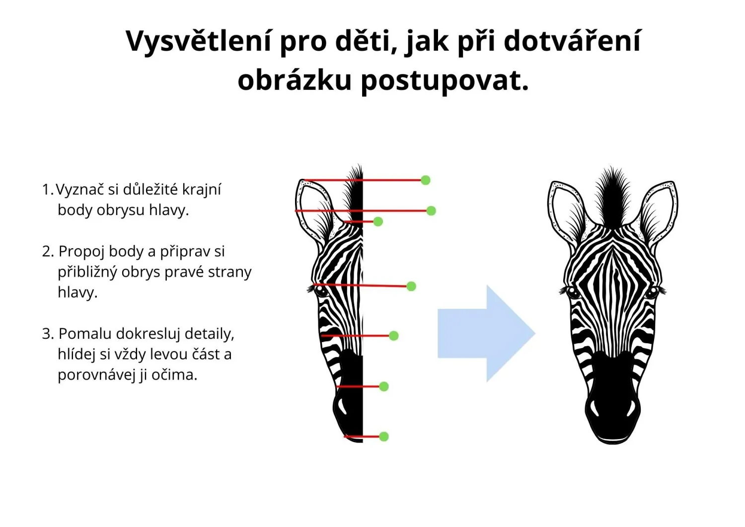 OBRÁZKY K DOKRESLENÍ - OSOVÁ SOUMĚRNOST - 1.sada - ZVÍŘATA – náhled 3