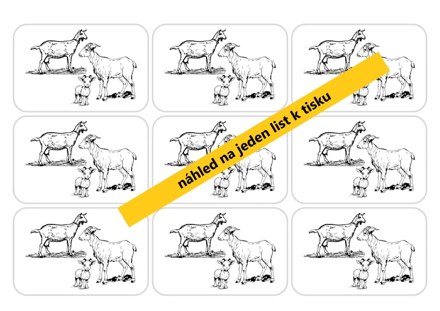 ZVÍŘECÍ RODINY - na farmě - VÝROBA OBRAZU S VÝUKOU – náhled 5
