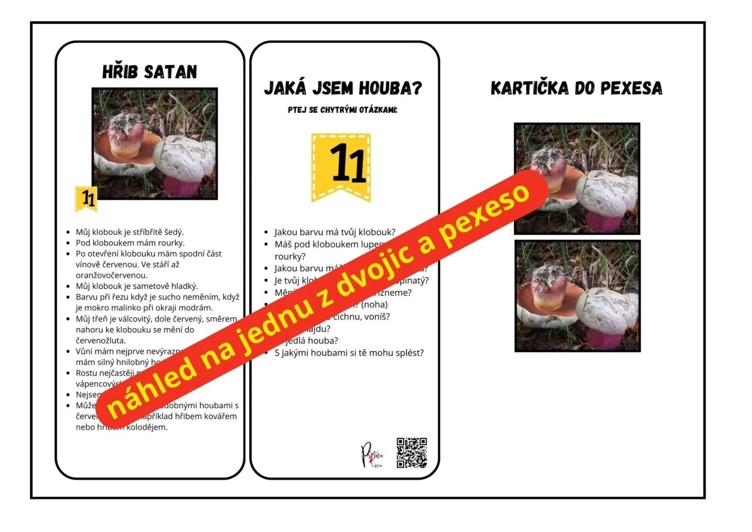 HOUBY - hry o houbách + pexeso, komunitní kruh, hádání hub podle otázek. – náhled 2