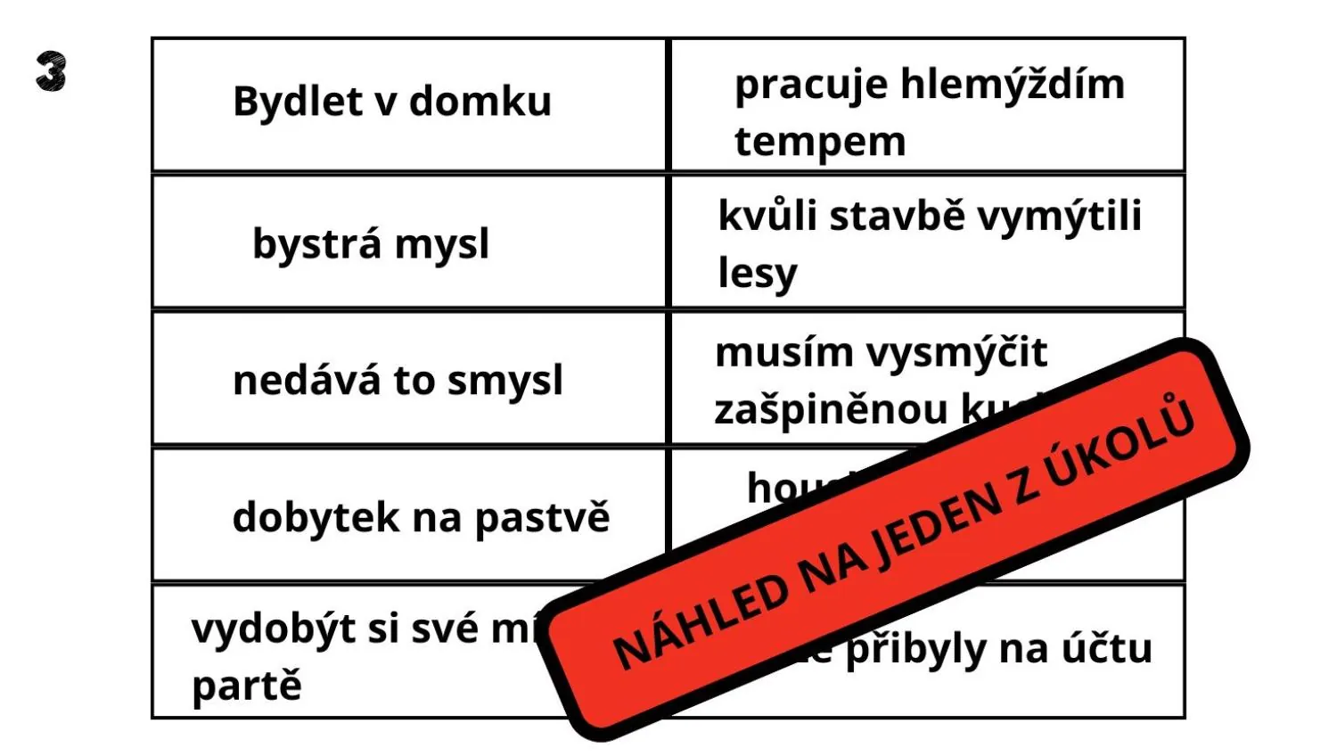 Tři králové - VYJMENOVANÁ SLOVA, VÝZNAM SLOV, SOUVĚTÍ - 8 STANOVIŠŤ S ÚKOLY – náhled 9
