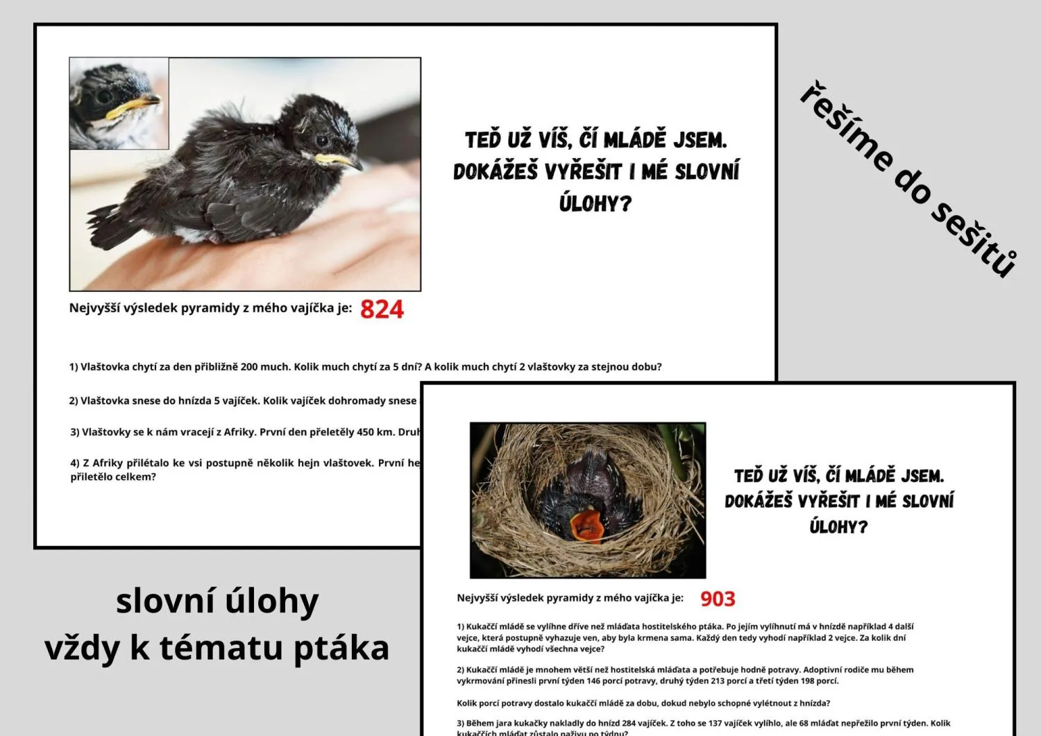 JARO - PTÁCI A MATEMATIKA - POZNÁVÁNÍ A HLEDÁNÍ MLÁĎAT - NUMERACE DO 1000 – náhled 6
