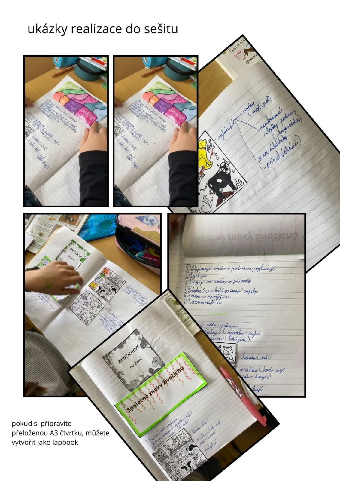 SPOLEČNÉ ZNAKY ŽIVOČICHŮ - příprava na 2 h, tvorba lapbooku přímo do sešitů – náhled 2