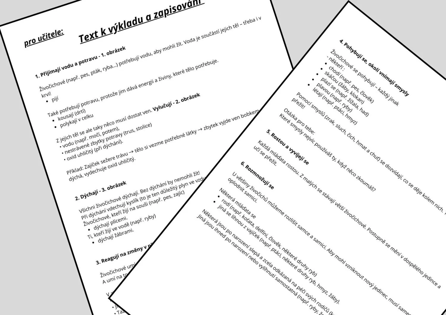 SPOLEČNÉ ZNAKY ŽIVOČICHŮ - příprava na 2 h, tvorba lapbooku přímo do sešitů – náhled 3