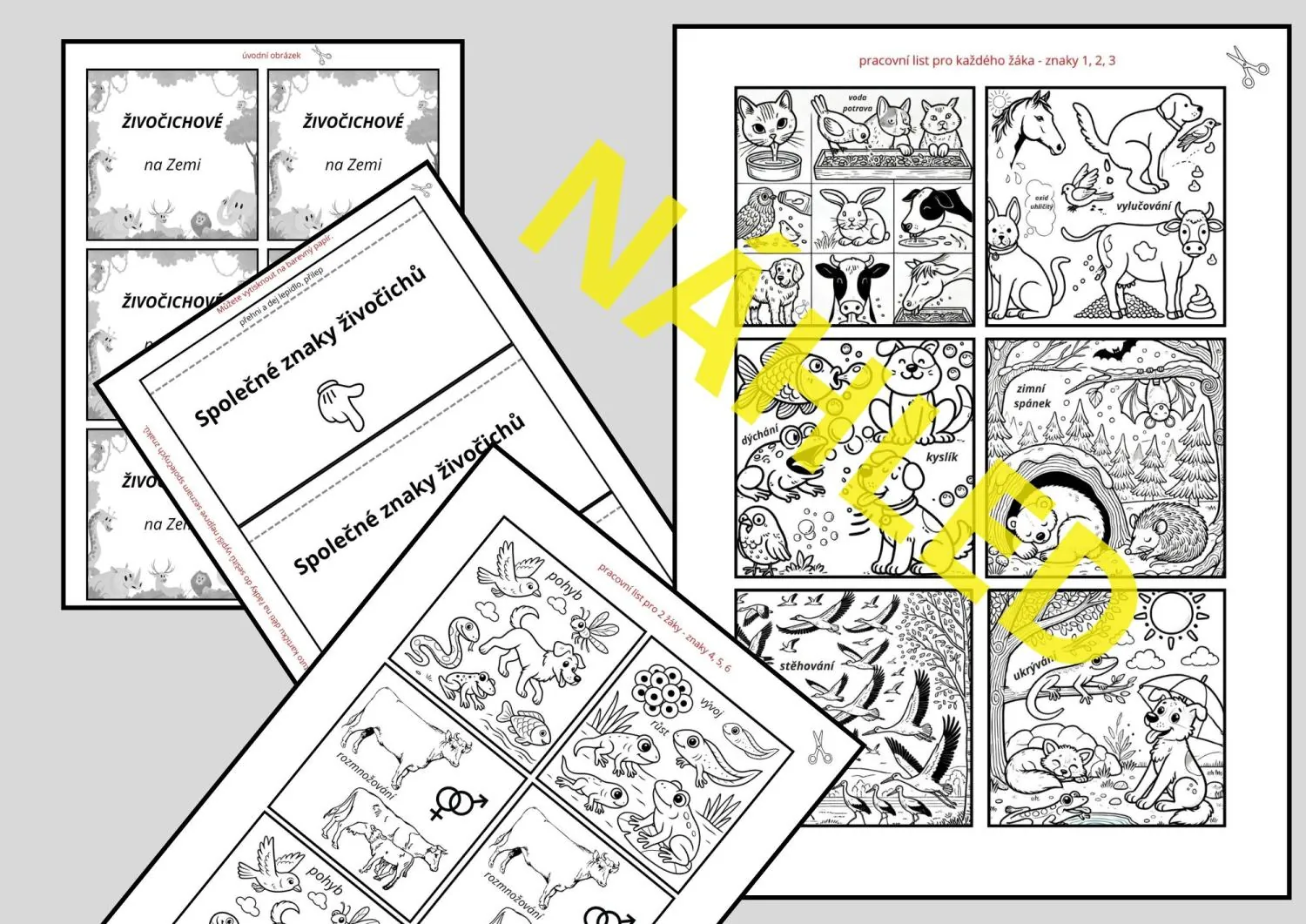 SPOLEČNÉ ZNAKY ŽIVOČICHŮ - příprava na 2 h, tvorba lapbooku přímo do sešitů – náhled 4