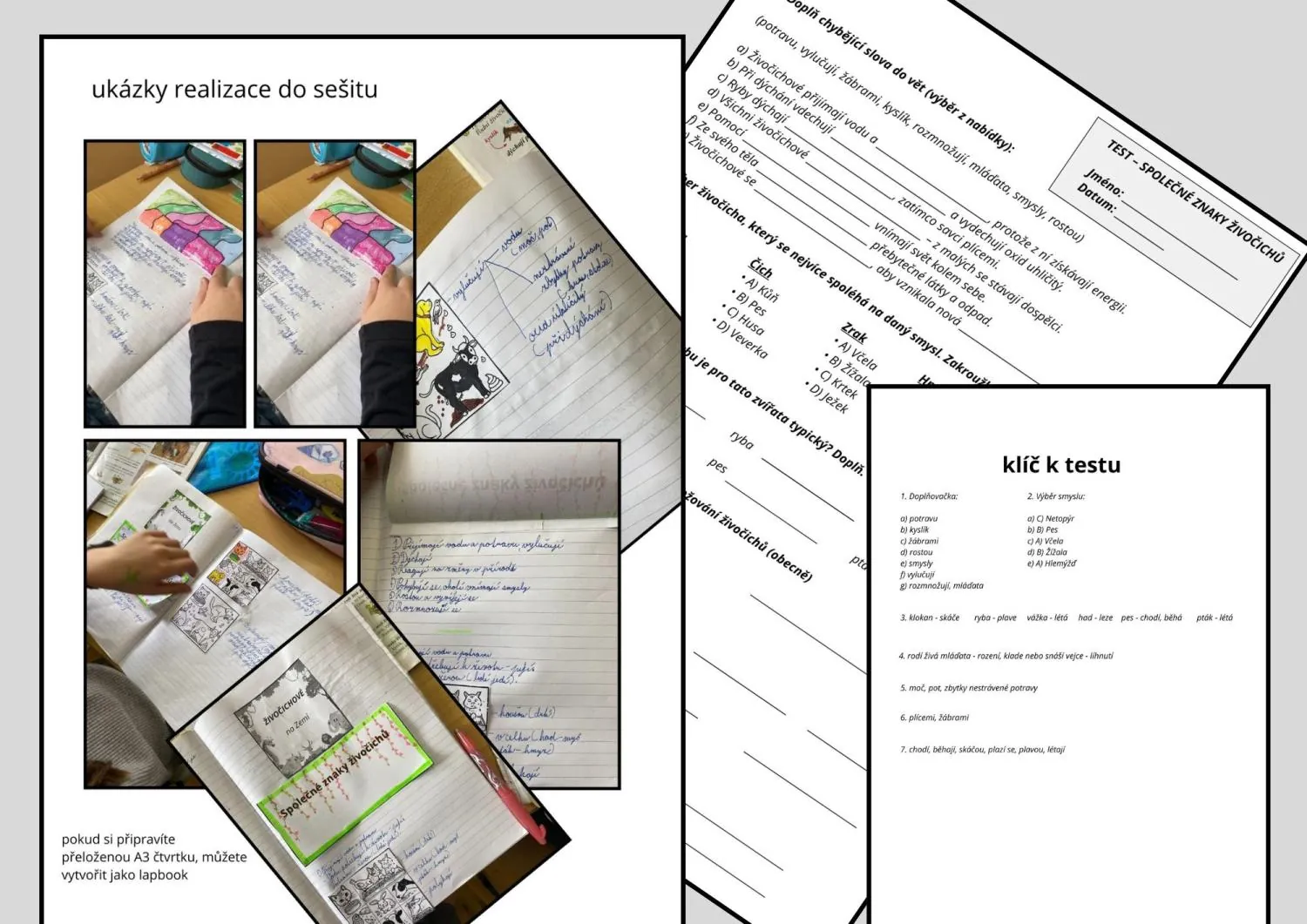 SPOLEČNÉ ZNAKY ŽIVOČICHŮ - příprava na 2 h, tvorba lapbooku přímo do sešitů – náhled 5