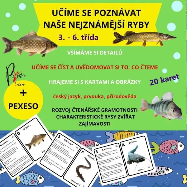 UČÍME SE POZNÁVAT NAŠE NEJZNÁMĚJŠÍ RYBY - aktivity mimo lavice, pexeso