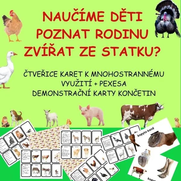 POZNÁVAČKA RODIN ZVÍŘAT - NĚKOLIK AKTIVIT