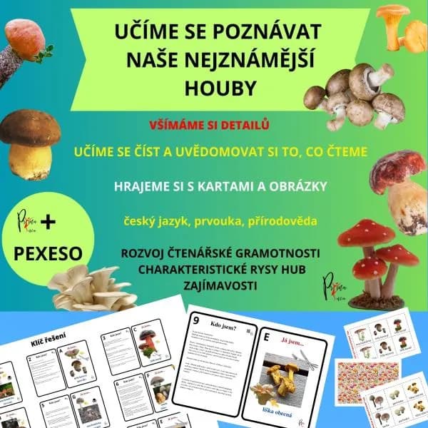UČÍME SE POZNÁVAT NAŠE NEJZNÁMĚJŠÍ HOUBY - aktivity mimo lavice