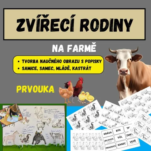 ZVÍŘECÍ RODINY - na farmě - VÝROBA OBRAZU S VÝUKOU