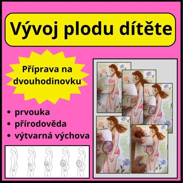 Vývoj plodu dítěte - skládací obrázek k výkladu